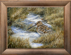 snipe-framed